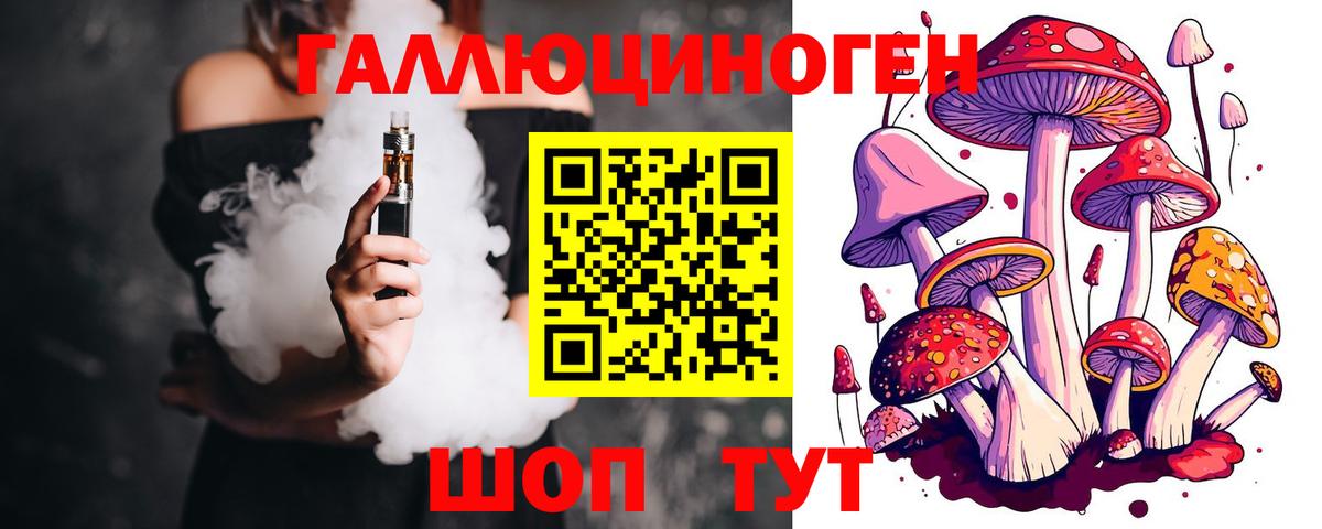 Галлюциногенные грибы Psilocybe Всеволожск