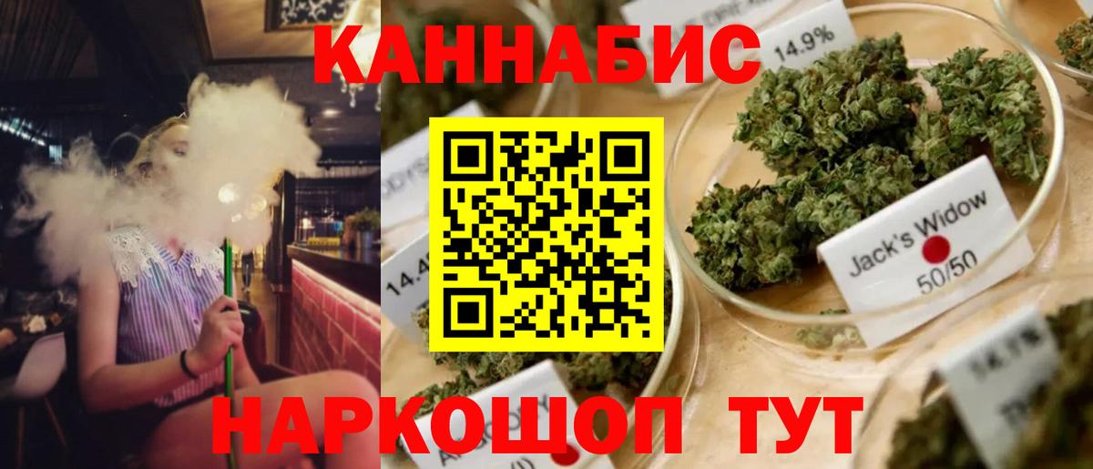 Шишки марихуана планчик Всеволожск